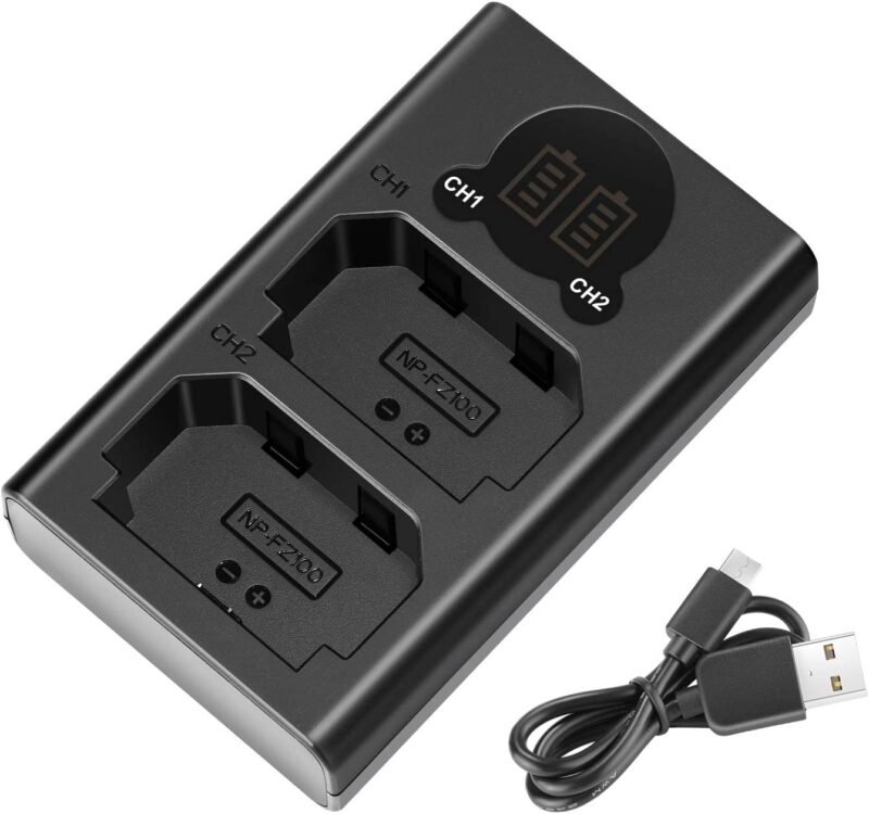 caisi fz100 dual charger caisi fz100 dual charger