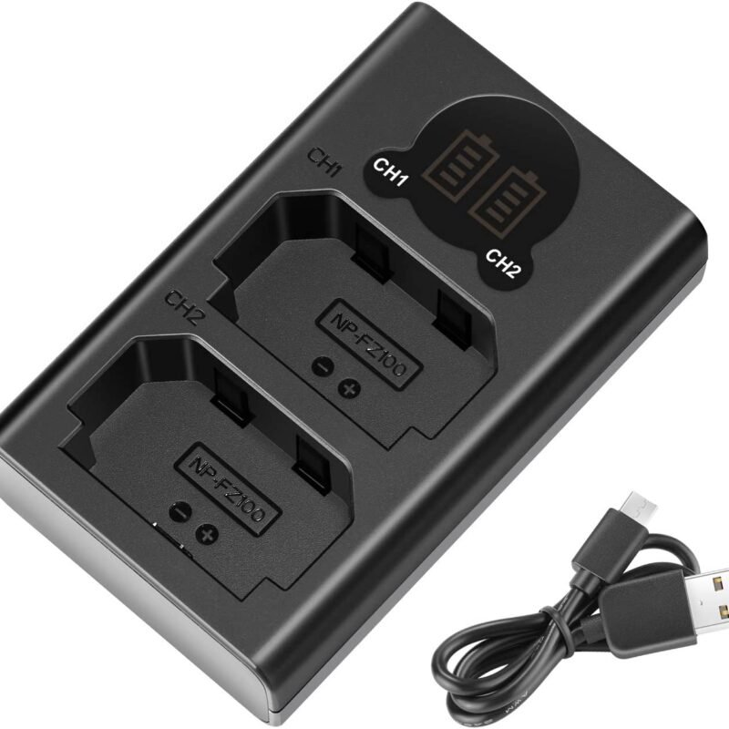 Caisi Dual USB Charger for Sony NP-FZ100 Battery