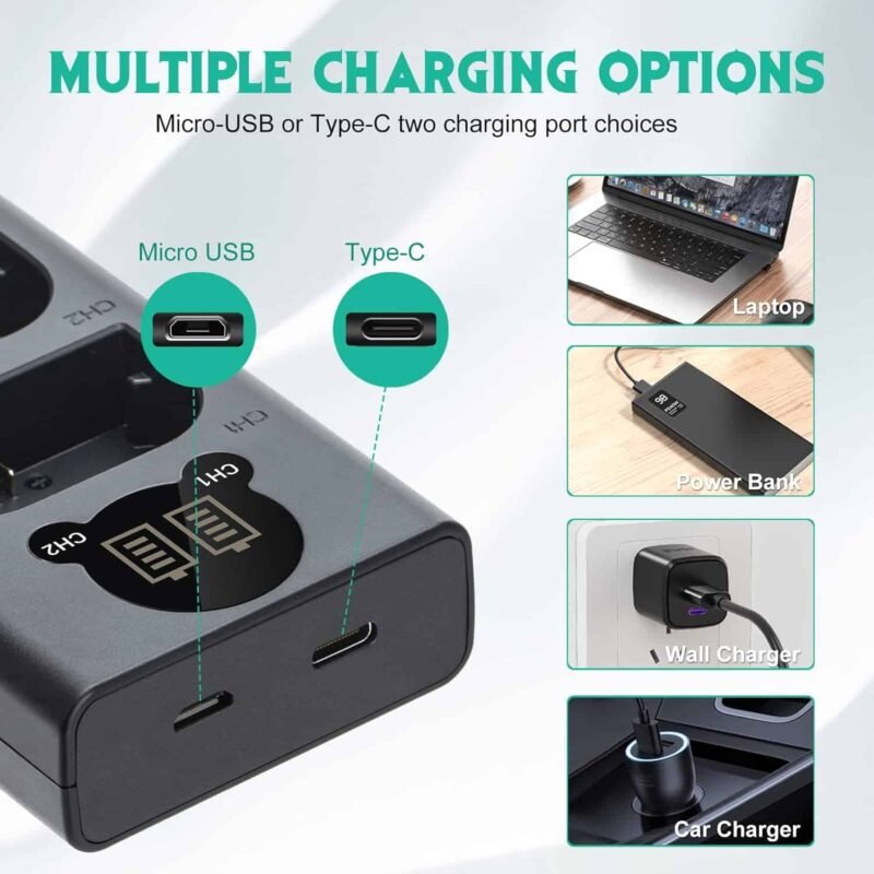 NP-FW50 Battery Charger